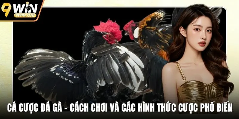 Cá cược đá gà