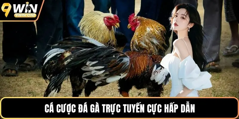 Cá cược đá gà trực tuyến cực hấp dẫn