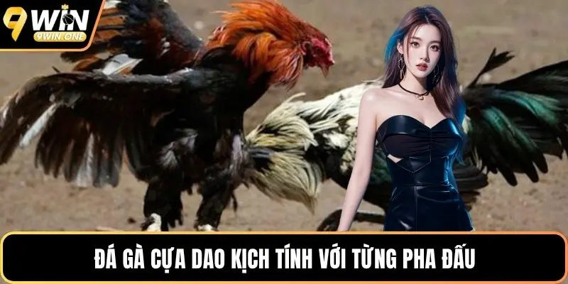 Đá gà cựa dao kịch tính với từng pha đấu