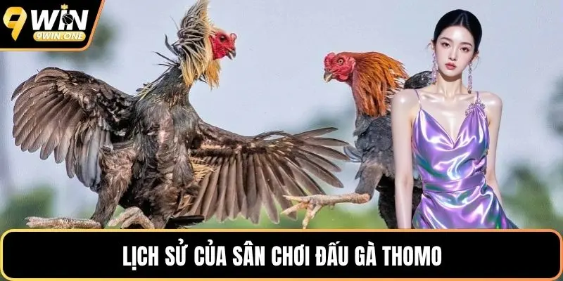 Lịch sử của sân chơi đấu gà Thomo