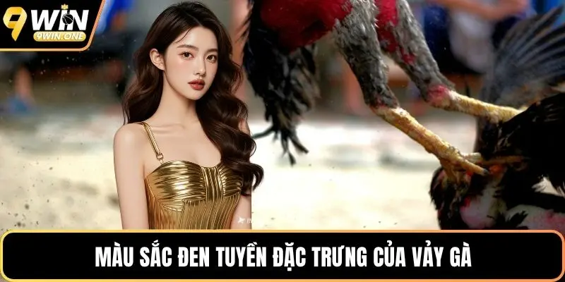 Màu sắc đen tuyền đặc trưng của vảy gà
