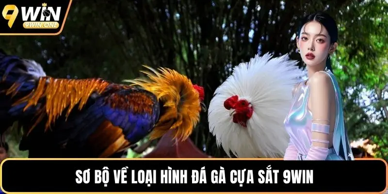 Sơ bộ về loại hình đá gà cựa sắt 9win