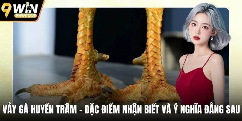 Vảy gà huyền trâm